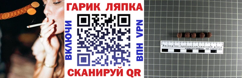 как найти наркотики  Боровск  ГАШИШ индика сатива 