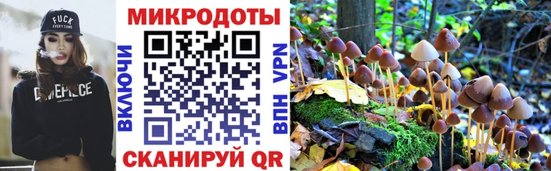 Псилоцибиновые грибы мухоморы  Боровск 